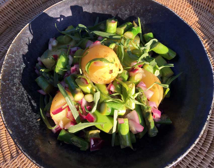 Opskrift: Sommersalat med asparges