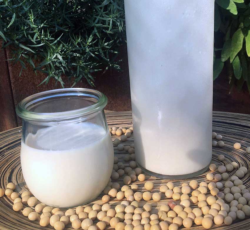 Opskrift: 1 liter hjemmelavet soyamælk for 7 kr.