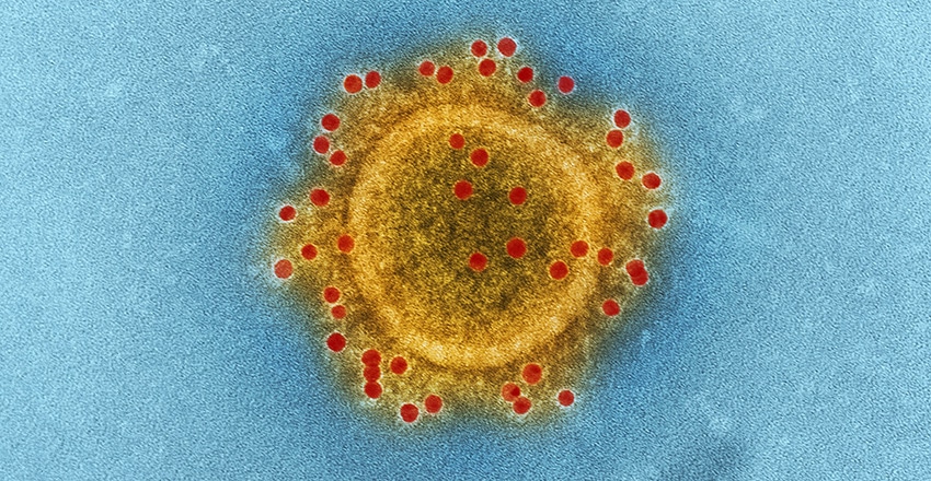 Virus symbol
